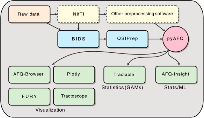 Diagram of the pyAFQ, AFQ-Browser, and AFQ-Insight software ecosystem